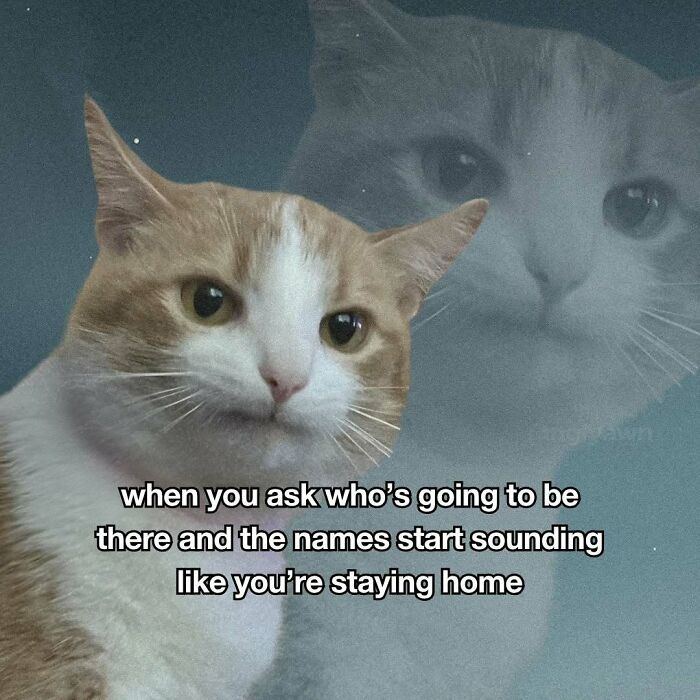 Relatable cat meme about social events with a pensive cat and moody background