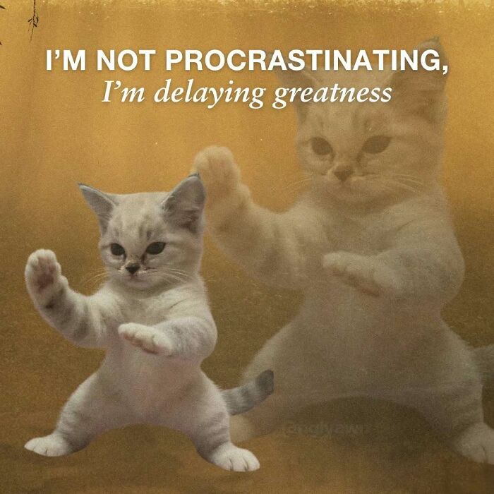 Cat meme about not procrastinating but delaying greatness with dancing cats