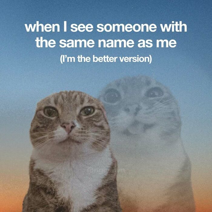 Relatable cat meme with two tabby cats and same name joke text