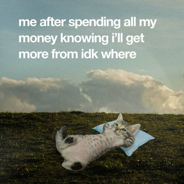 Humorous relatable cat meme about money with a cat lying on grass and pillow