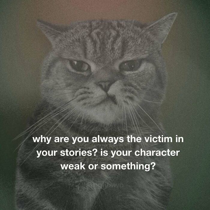 Grumpy cat meme questioning being the victim in stories relatable cat memes