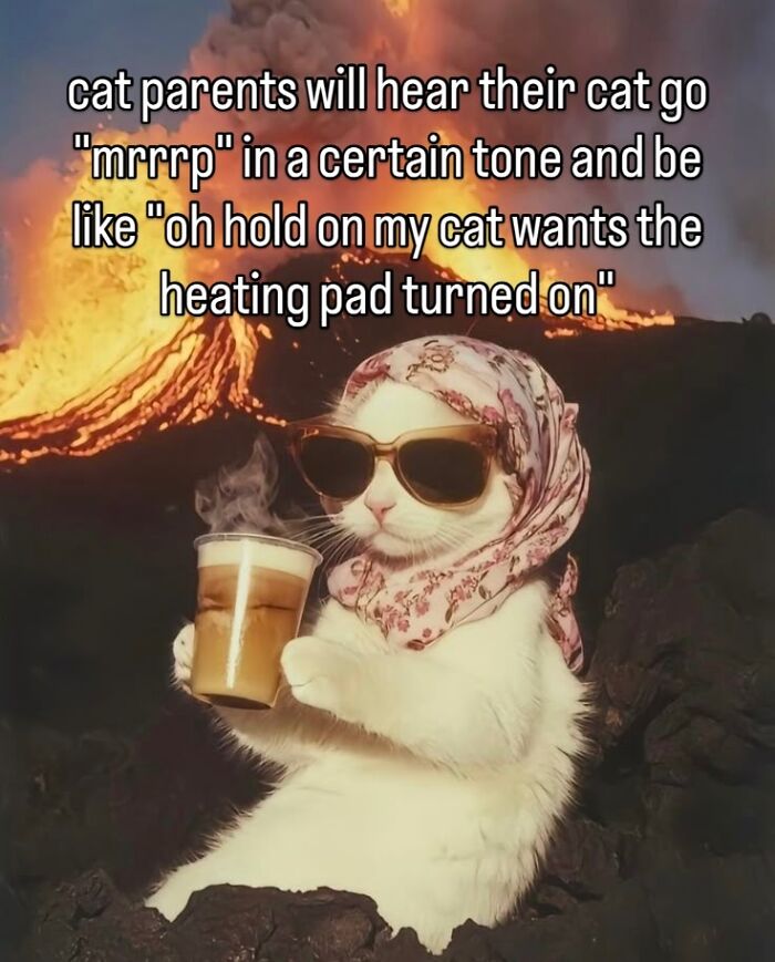 A meme of a cat wearing sunglasses and a headscarf, holding a drink, with a volcanic eruption in the background.