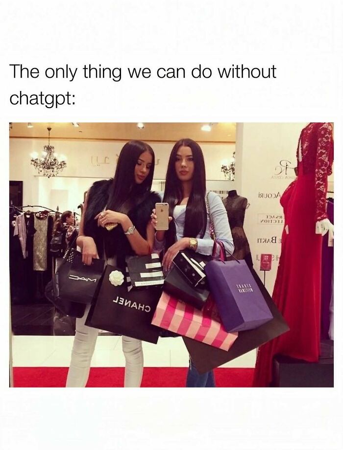 Funny memes depicting two women carrying luxury shopping bags in a high-end store.