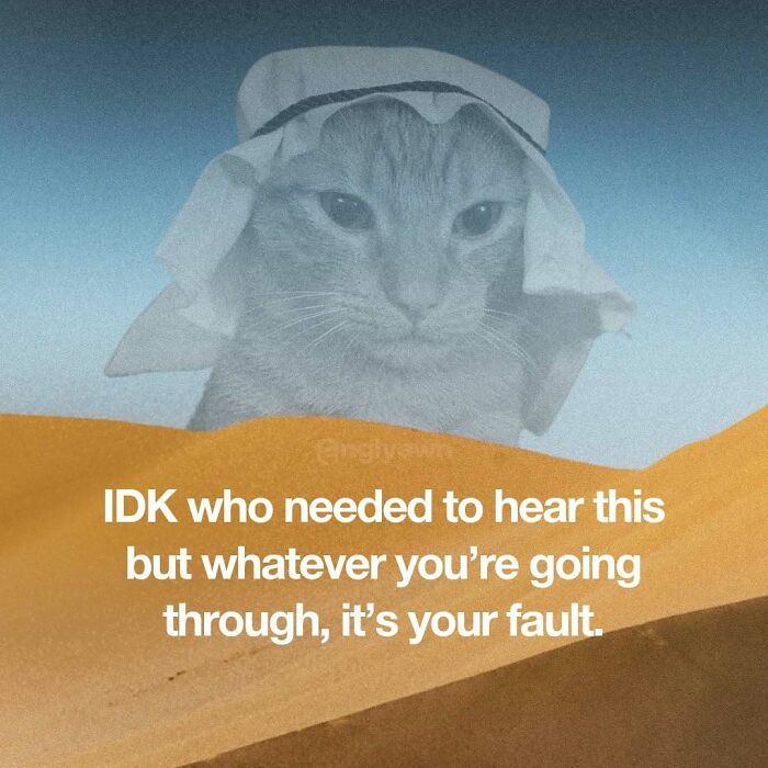 Cat meme about personal accountability with a cat wearing a desert headscarf