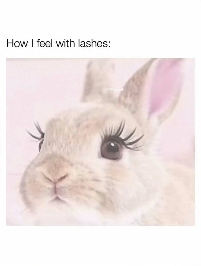 Funny memes about being a woman showing a cute rabbit wearing long false eyelashes