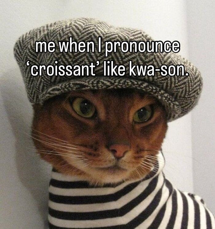 A cat wearing a cap and striped shirt, illustrating a funny meme about pronouncing 'croissant'.