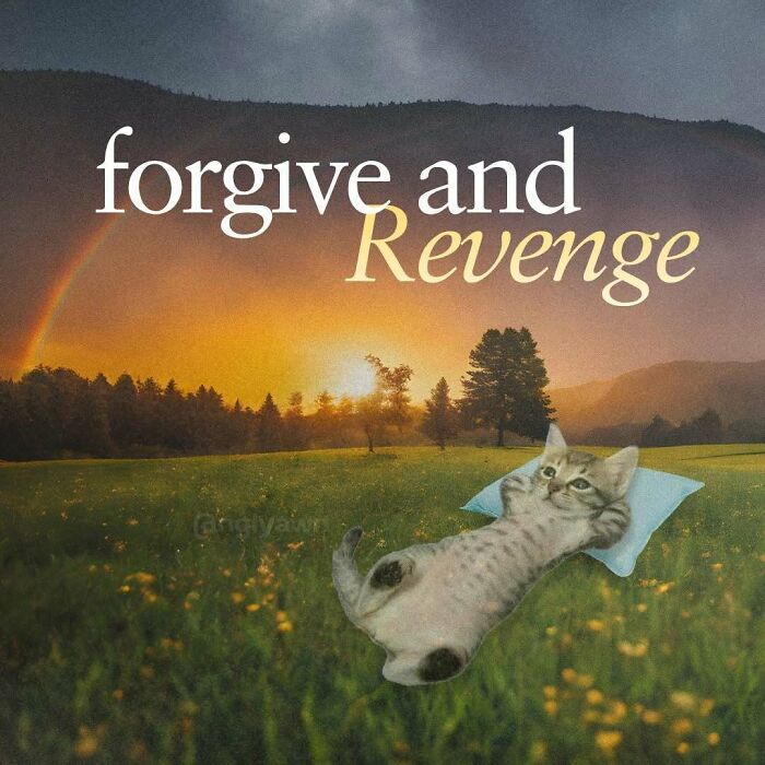 Funny cat meme with text forgive and revenge in a sunset field