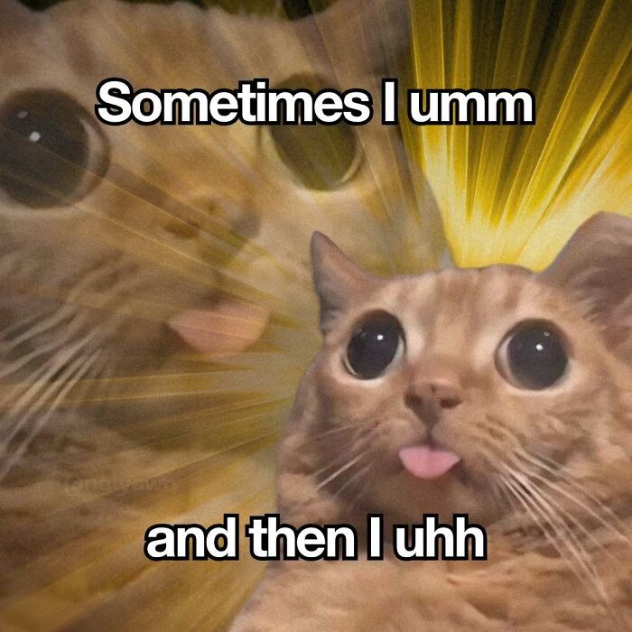Relatable cat meme with a cat sticking out tongue looking confused