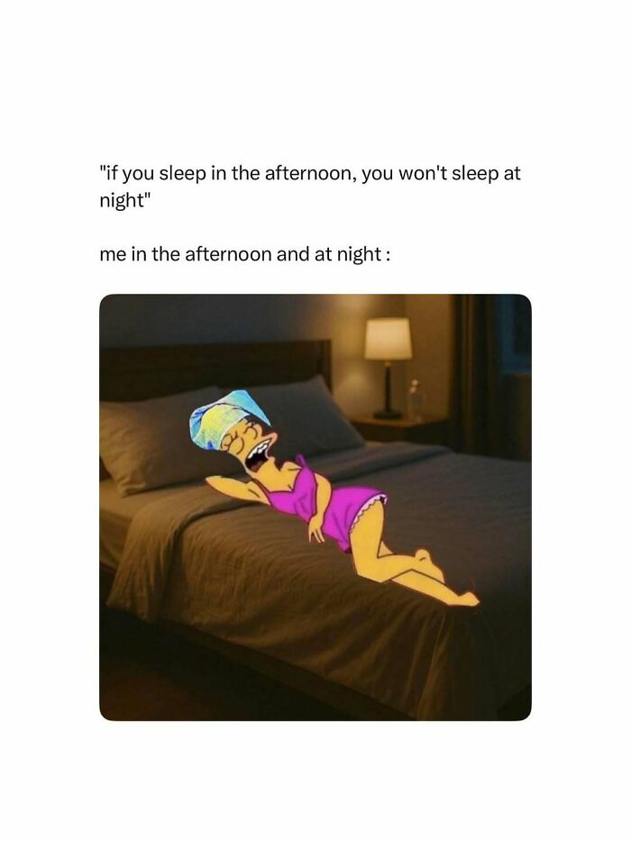 A meme showing a cartoon character happily sleeping in a bed, depicting afternoon and night sleep habits.