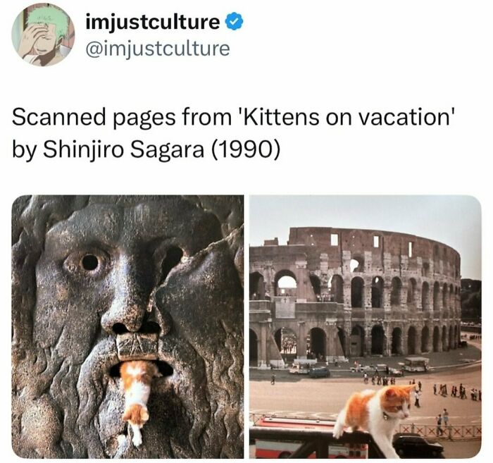 Imjustculture Posts: A tweet showing scanned pages from 'Kittens on vacation' featuring a kitten inside a stone mouth and another near the Colosseum.