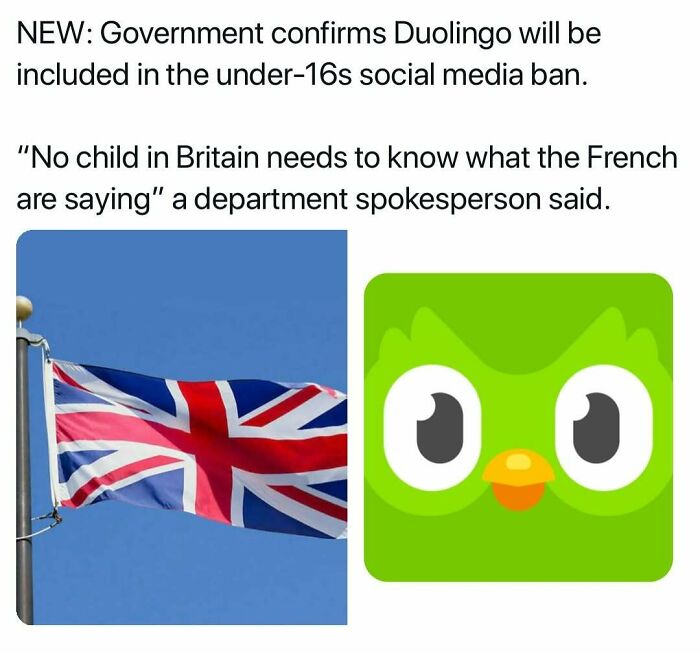 A Union Jack flag next to the Duolingo owl logo, symbolizing a ban for under-16s. Hilarious memes.