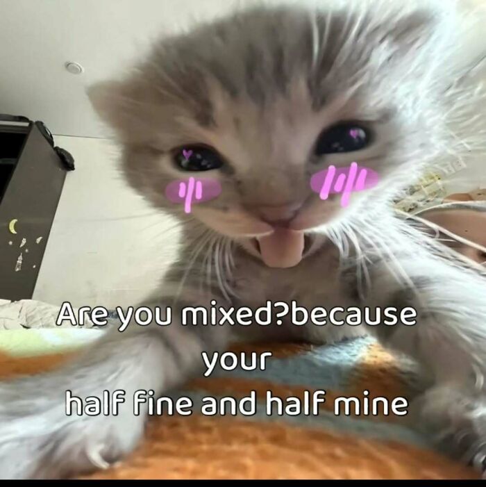 Cute kitten with heart-shaped blush, a charming cat meme to send to someone special.