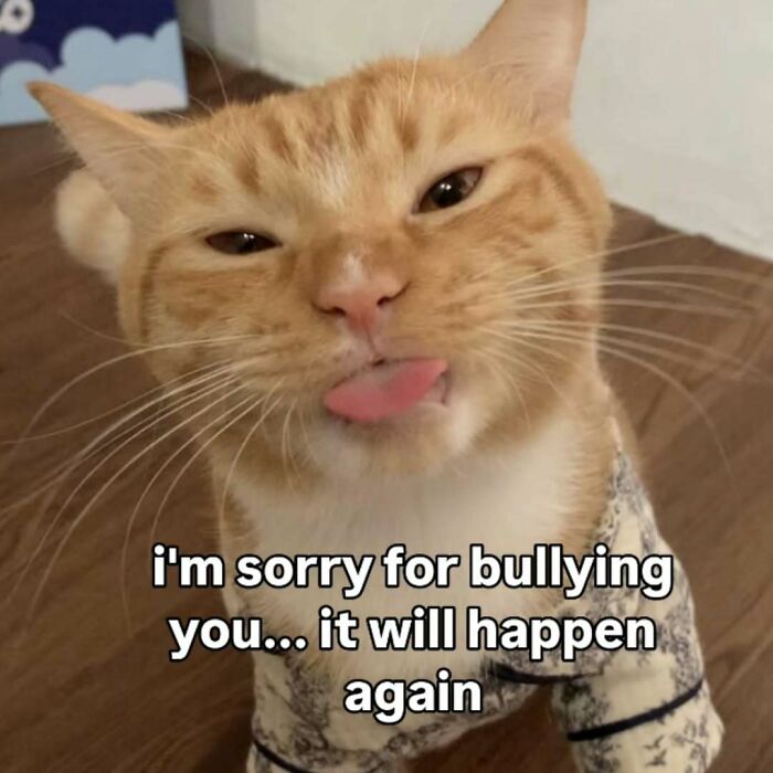 Orange tabby cat in pajamas sticking out its tongue, a playful cat meme for someone special.