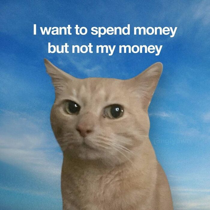 Cat meme about wanting to spend money but not own money with blue sky