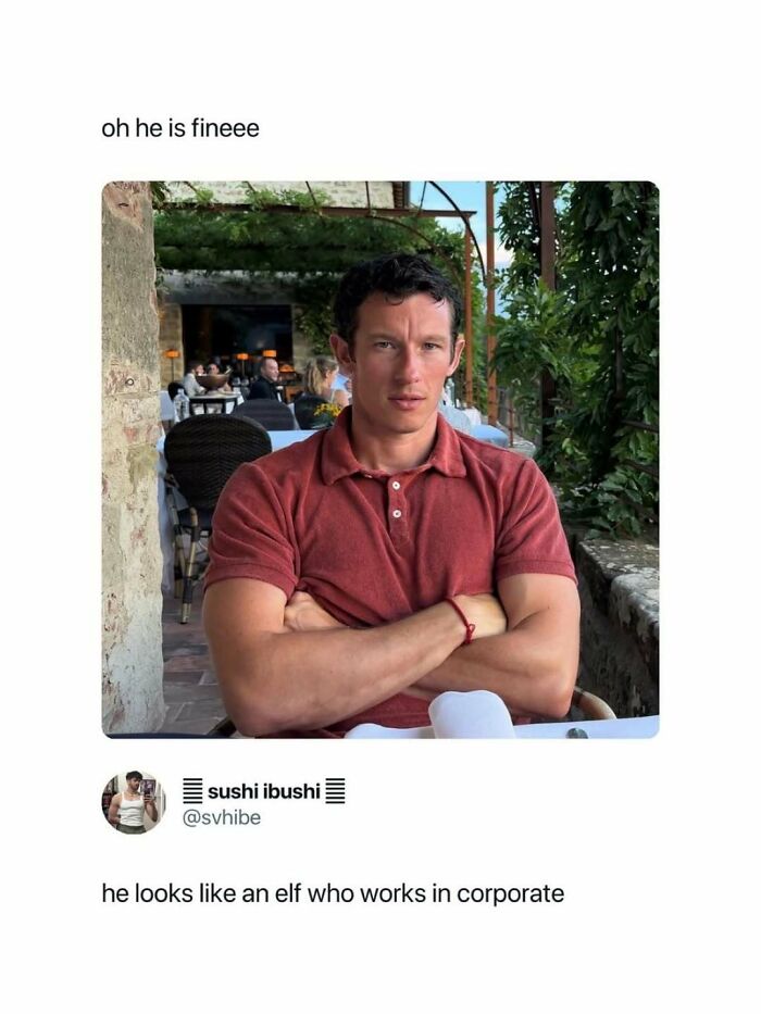 A meme featuring a man with crossed arms in a red polo shirt, described as an elf, capturing a hilarious but true observation.
