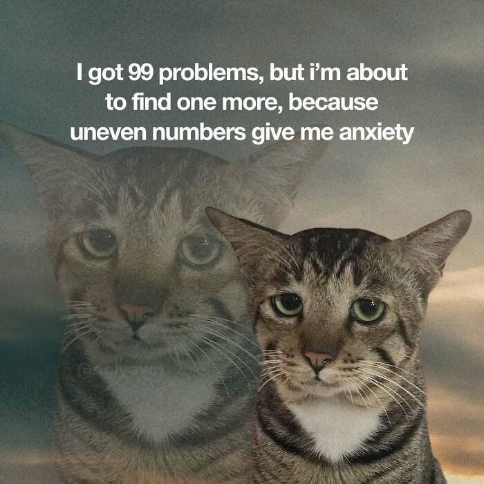 Relatable cat meme about anxiety and uneven numbers with a serious tabby cat