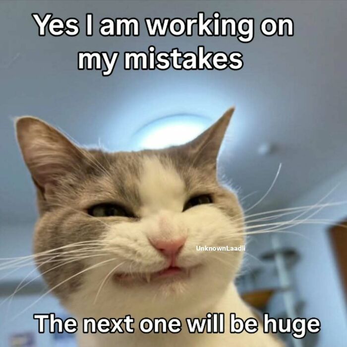 A funny cat meme featuring a white and grey cat smirking, with text about making mistakes.