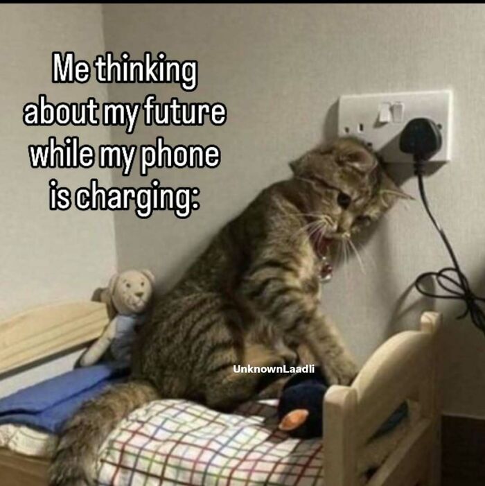 Hilarious cat memes: A cat by a charging phone with text about thinking about the future.