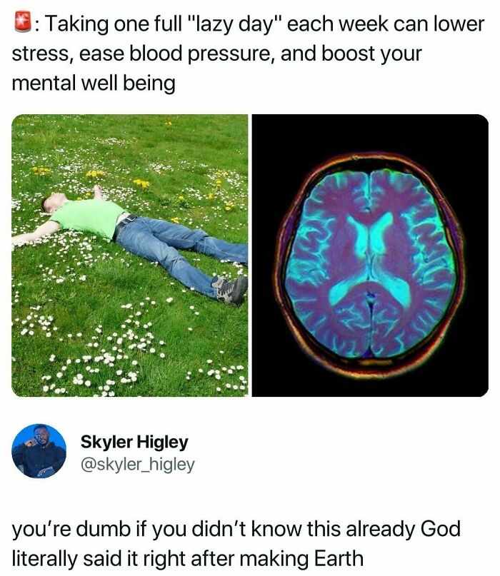 Hilarious memes: A person relaxing in a field next to a brain scan, representing mental well-being.