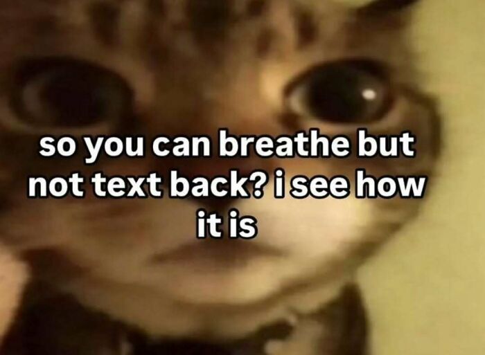 A cat meme with wide eyes and text So you can breathe but not text back? I see how it is.