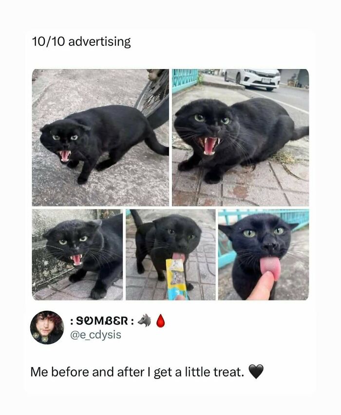 A collage of cat photos that is a perfect meme, showing a black cat looking angry, then happily licking an ice cream.