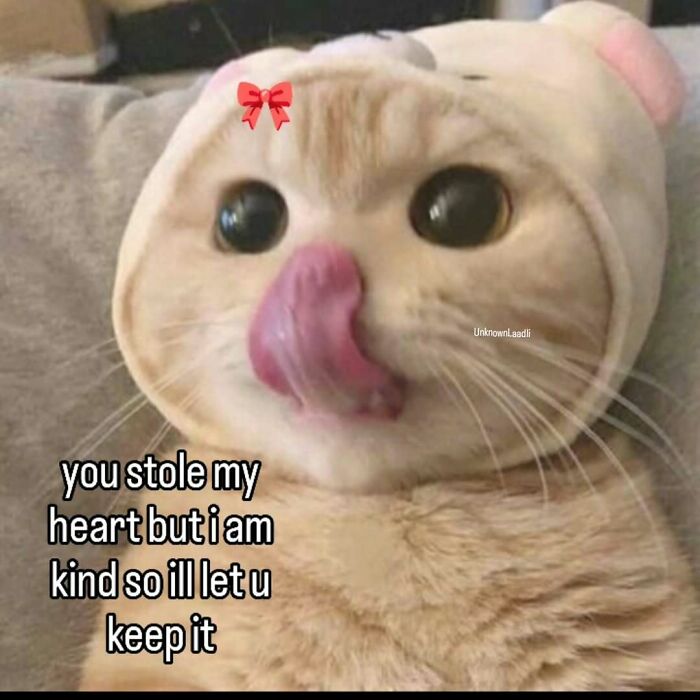 A cute cat meme wearing a hat and licking its nose, with text about stealing hearts.