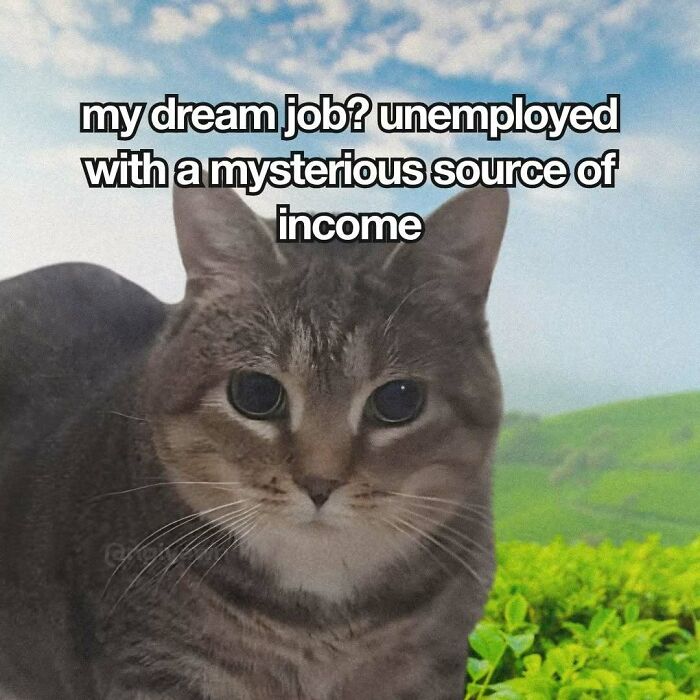Cat meme of tabby cat dreaming of being unemployed with mysterious income