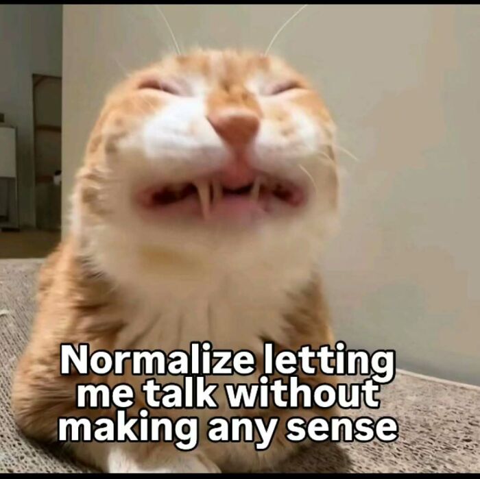 An orange cat meme with a silly, wide-mouthed expression and text about talking without making sense.