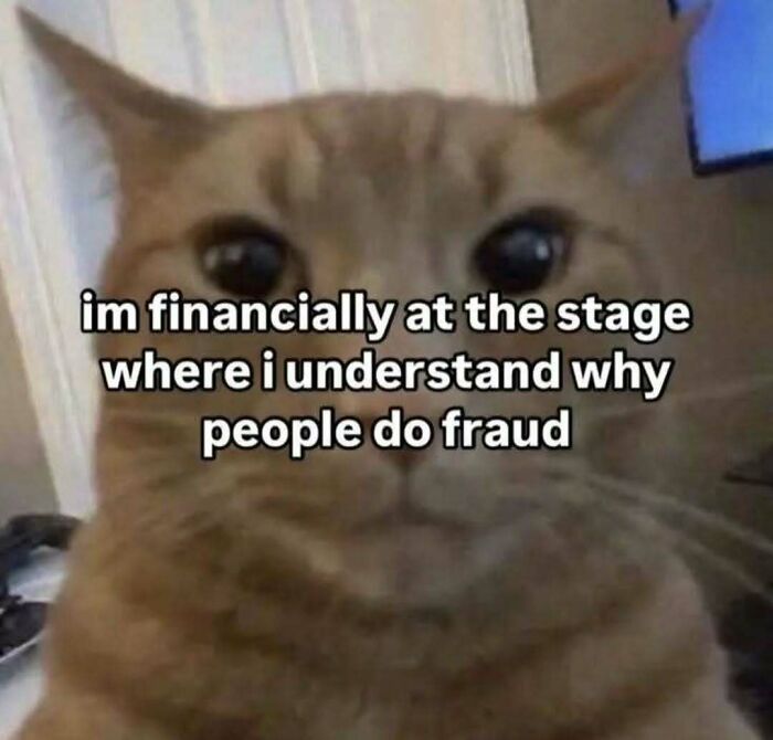 A close-up of a wide-eyed ginger cat's face, conveying a relatable emotion, ideal for humorous cat memes to send.
