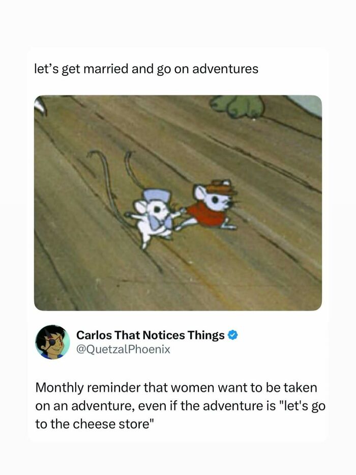 A meme featuring two cartoon mice holding hands, with text about marriage and adventures, and a tweet about women wanting adventures.
