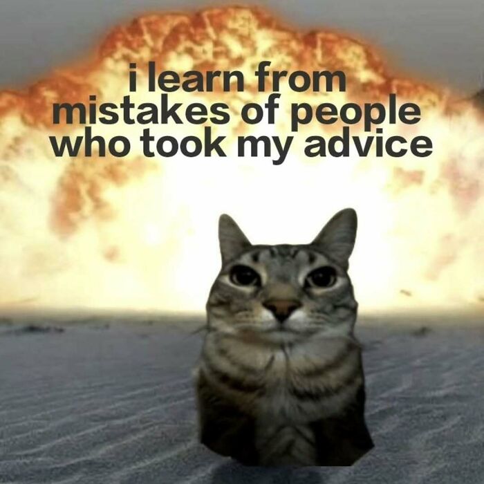 Funny cat meme with a cat in front of an explosion, saying, i learn from mistakes of people who took my advice.