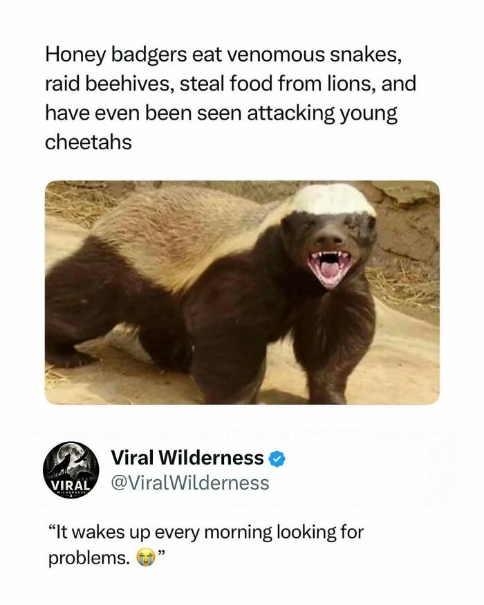 Wildlife-Nature-Animal-Facts