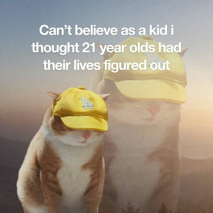 Cat meme reflecting on thinking 21 year olds have life figured out