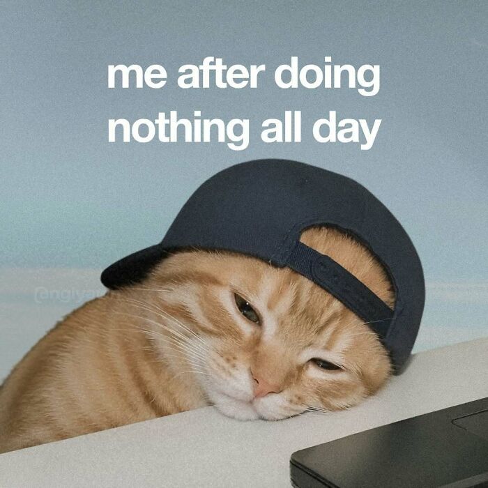 Relatable cat meme of orange cat in hat after doing nothing all day