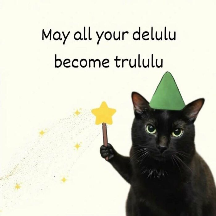 A black cat wearing a green party hat, holding a star-shaped wand with sparkling magic, a great cat meme for someone special.