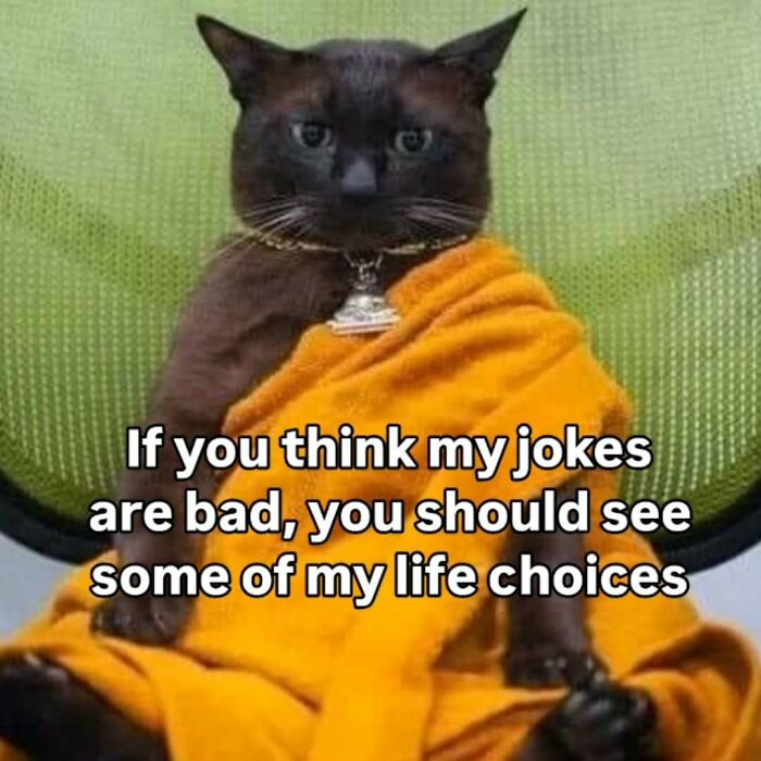 A black cat meme dressed in a monk robe, sitting on a chair, with text about bad jokes and life choices.