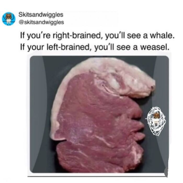 Random-Humorous-Funny-Memes