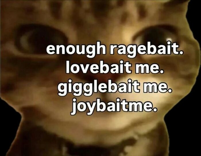 A close-up cat meme with big eyes and text about wanting 'lovebait, gigglebait, joybait' instead of ragebait.