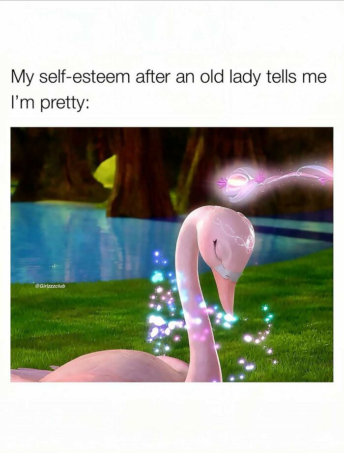 Funny meme about being a woman featuring a sparkling pink swan near water to illustrate boosted self-esteem