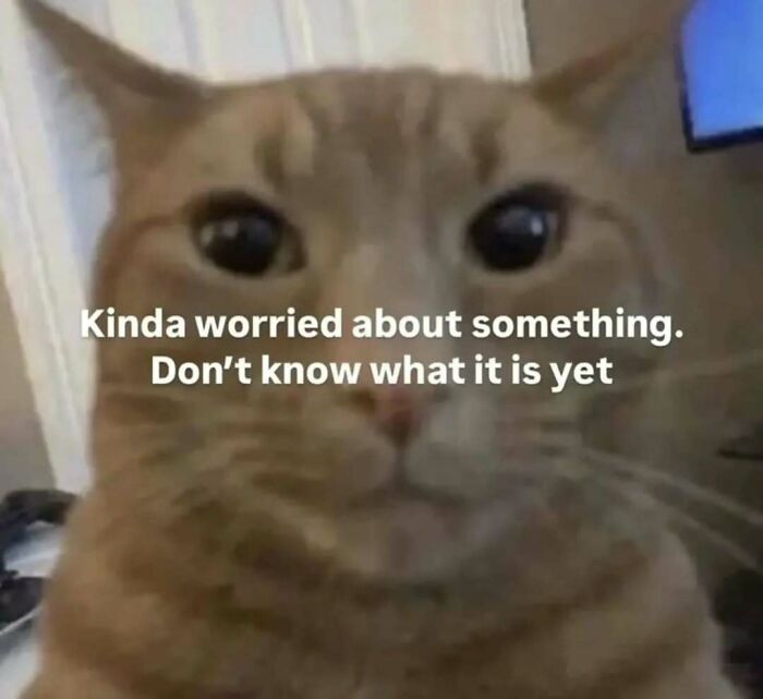 A cat meme showing a worried cat with big eyes and text about being concerned, great for someone special.