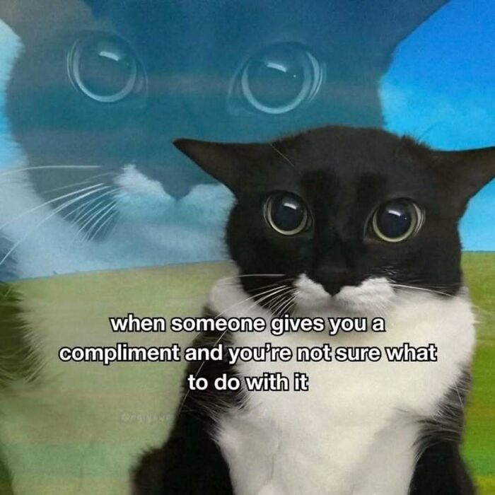 A cat meme with a wide-eyed black and white cat, reflecting on receiving a compliment, with a ghostly cat image in the background.