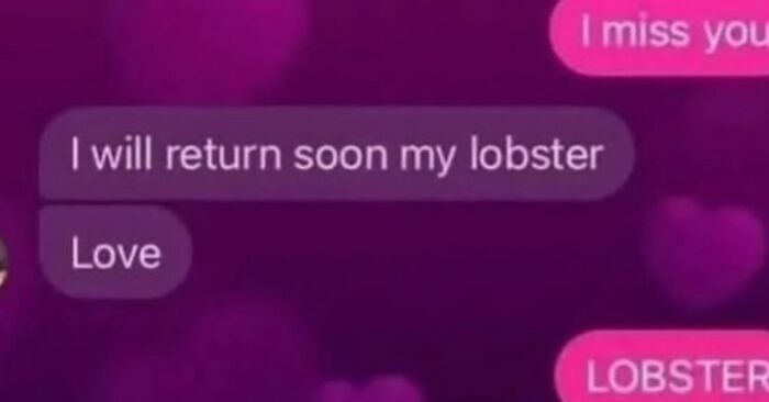 A screenshot showing a conversation with the strange and unfiltered internet phrase I will return soon my lobster.
