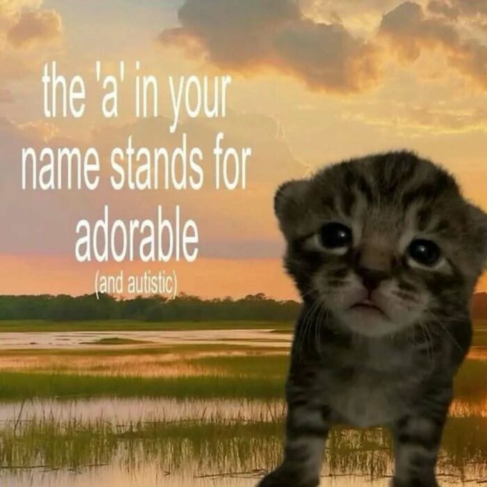 A tiny, sad-looking cat meme in front of a sunset, with text The a in your name stands for adorable (and autistic).