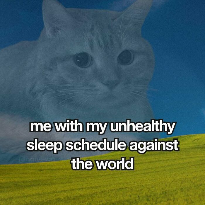 Cat meme on unhealthy sleep schedule against the world