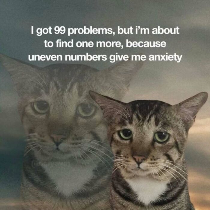 A cat meme featuring a sad-looking tabby cat with a ghostly image behind it, worried about uneven numbers.