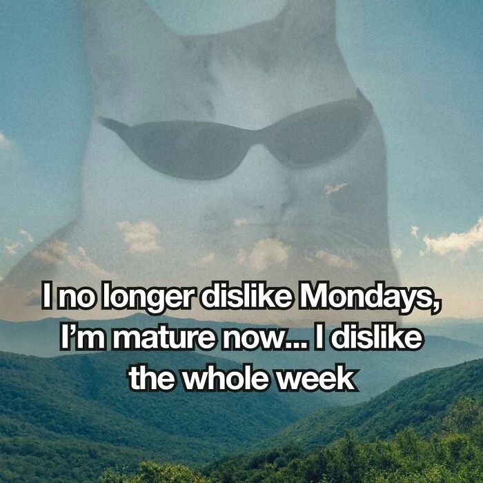 Relatable cat meme about disliking the week with cat wearing sunglasses over mountain landscape