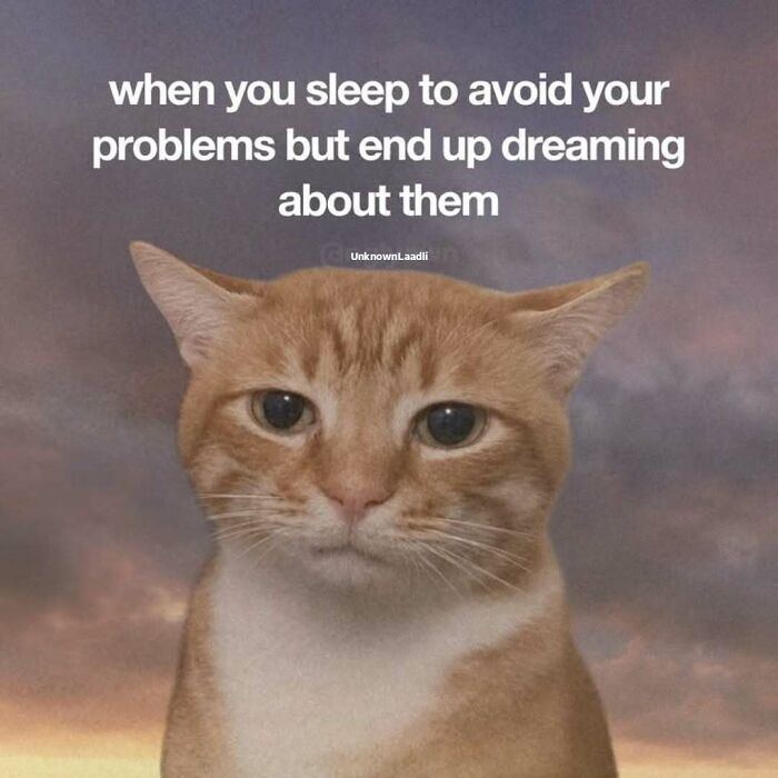 An orange cat meme with a sad face looking forward, saying when you sleep to avoid your problems.