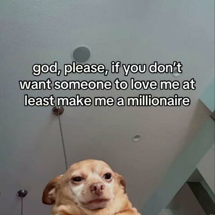 A dog meme looking upwards with the text God, please, if you dont want someone to love me, at least make me a millionaire.