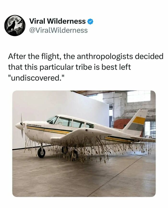 Small airplane indoors with dozens of arrows stuck in its underside, a unique wilderness scene