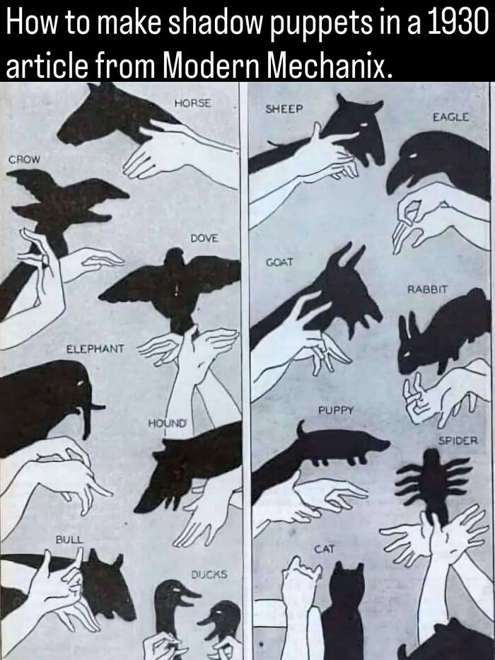 An old instructional diagram showing how to make shadow puppets, illustrating vintage pastimes from the past.